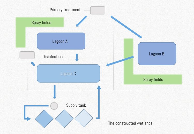 Diagram outlining the waste processing system at the Sewanee Utility District. (D. McGrath, 2017)